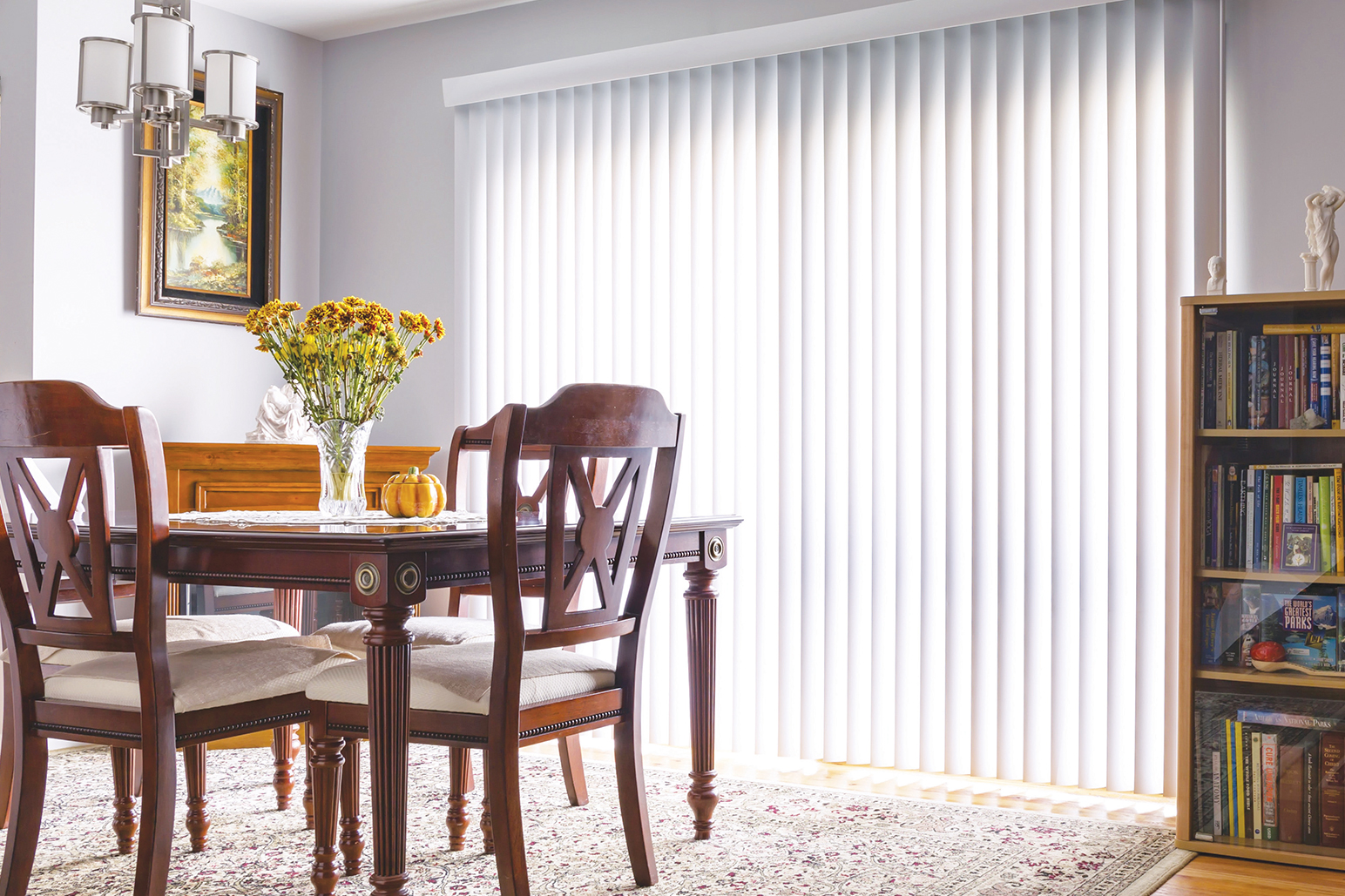 Vertical Blinds